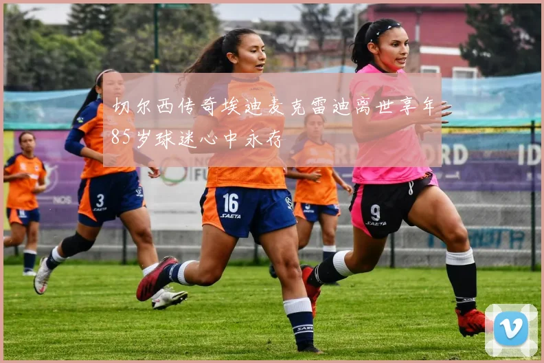 切尔西传奇埃迪麦克雷迪离世享年85岁球迷心中永存
